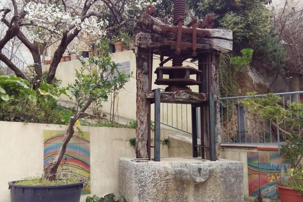 דירות קלטפימי La Domus Di Segesta מראה חיצוני תמונה