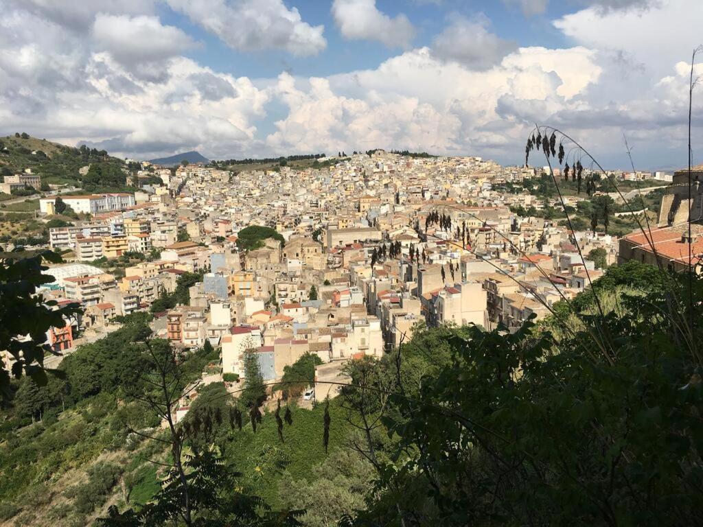 דירות קלטפימי La Domus Di Segesta מראה חיצוני תמונה